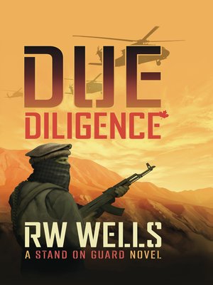 cover image of Due Diligence